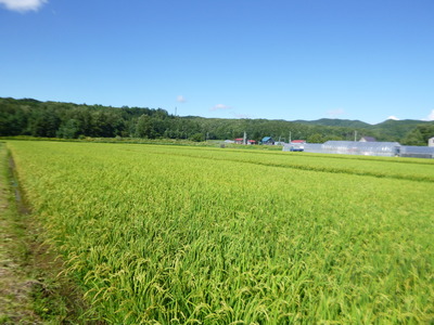 P1110088.JPG