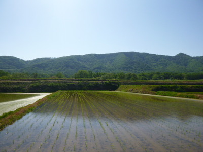 P1180005.JPG