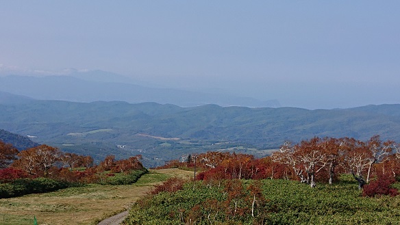 DSC_0400.JPG